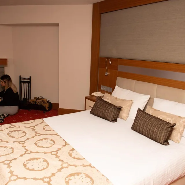 غرفة قياسية بسرير مزدوج أو سريرين منفصلين، KACKAR RESORT HOTEL 9/10