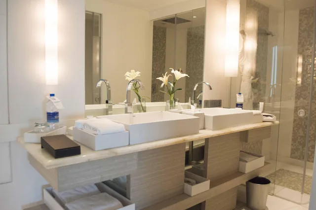جناح رئاسي، Le Meridien Gurgaon 7/10