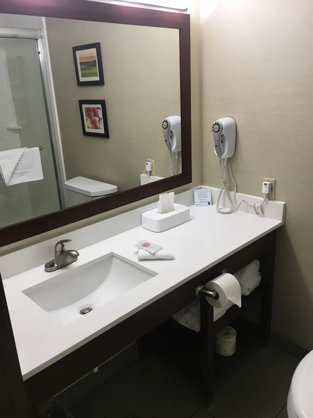غرفة بسريرين كوين يُسمح فيها بالحيوانات الأليفة في الطابق الأرضي، Comfort Inn Millersburg, OH 7/9