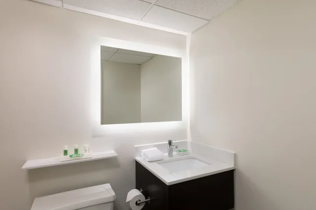 غرفة قياسية بسرير كينج، Holiday Inn Clark Newark Area Formerly Crowne Plaza Clark 2/2