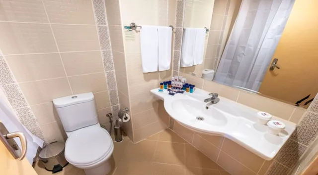 غرفة قياسية مفردة، Viking Garden Hotel and Spa 4/4