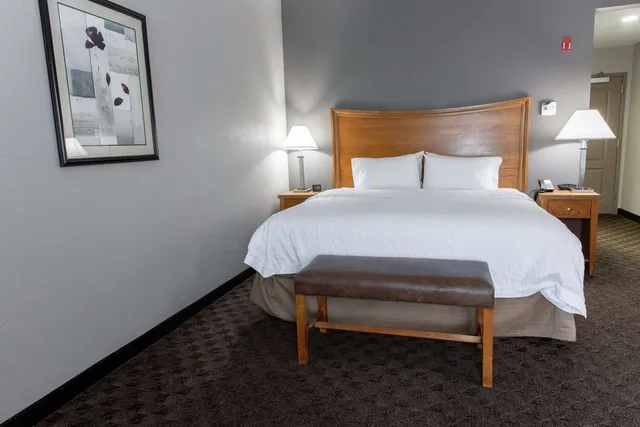 جناح استوديو بسرير كينج مع أريكة، Hampton Inn & Suites Chesapeake-Square Mall 1/4