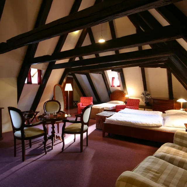 جناح مع أريكة، Hotel U Tri Bubnu 5/6