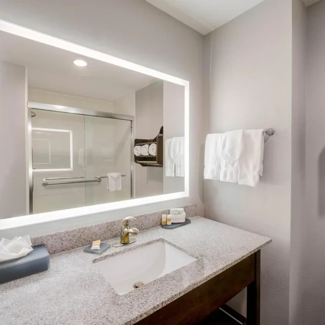 غرفة بسرير كينج بحوض استحمام لذوي الإعاقة، La Quinta Inn & Suites by Wyndham Fort Worth Arlington West 5/5