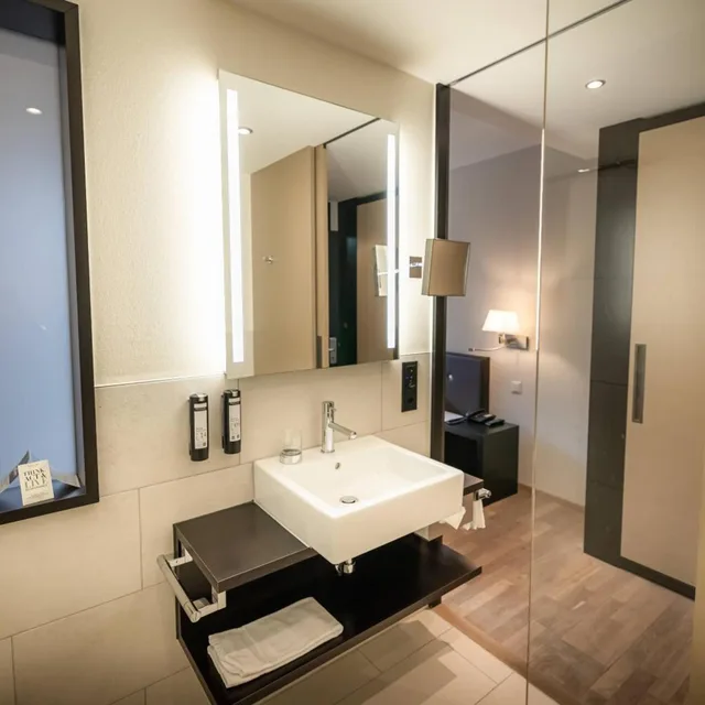 Room, King Bed, Hotel Seepark Thun 8/10