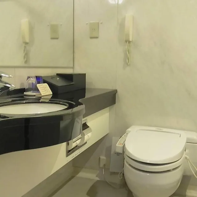 غرفة سوبيريور ثلاثية بسريرين منفصلين، Hotel Metropolitan Nagano 9/9