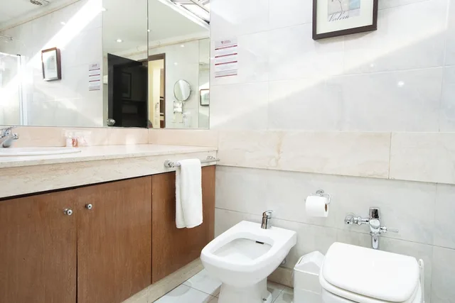 شقة بانورامية بسرير كينج وسريرين فرديين بإطلالة على المدينة بشرفة بـ3 غرف نوم، Trianon Residence Recoleta 4/4