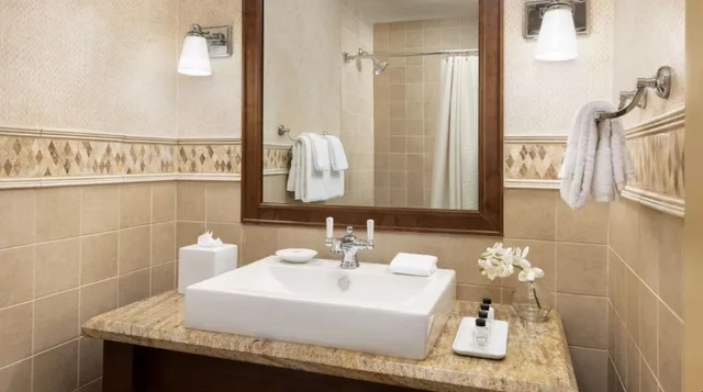 Slope, Junior Suite, with View، Elevation Hotel And Spa 2/2