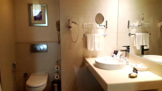غرفة ديلوكس بحوض استحمام، Royal Orchid Central Pune 4/4