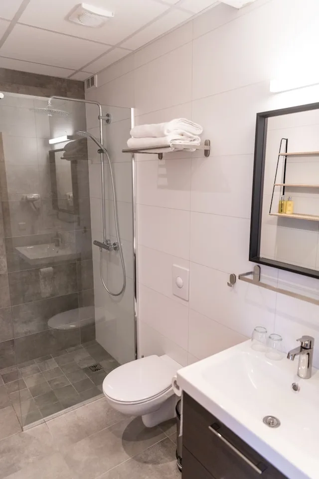 جناح سوبيريور بسرير كوين مع أريكة، Centrum Hotel 4/6