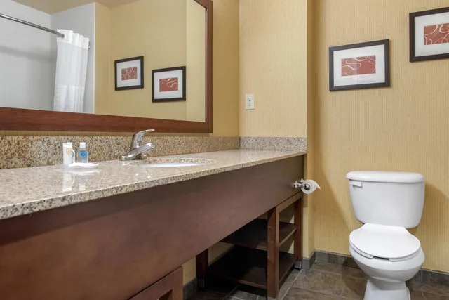 جناح بسرير كينج مع أريكة، Comfort Suites Louisville Airport 6/8