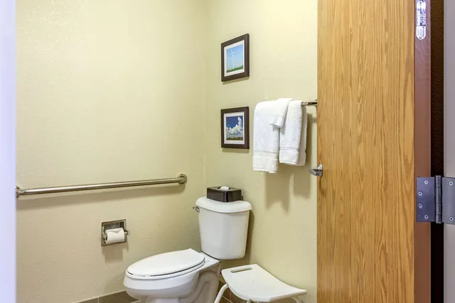 غرفة بسرير كينج لذوي الإعاقة، Comfort Inn DeKalb - University Area 4/4