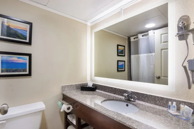غرفة قياسية بسريرين مزدوجين، Comfort Inn Kings Mountain 3/3