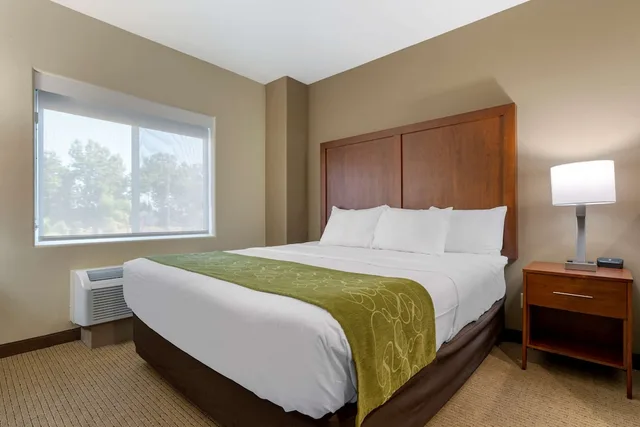 جناح مع أريكة، Comfort Suites Marysville Yuba City 2/5