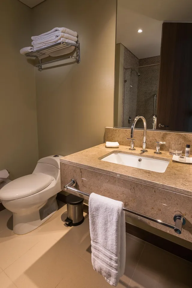 غرفة قياسية بسرير مزدوج، Hampton by Hilton Bogota - Usaquen 5/5