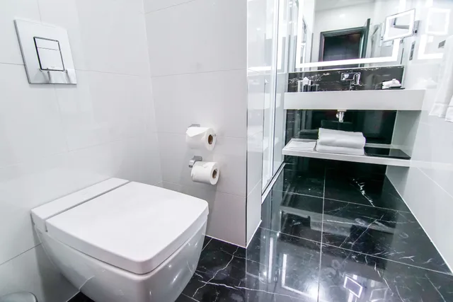 غرفة سوبيريور بسرير مزدوج، Montcalm Royal London House - City Of London 6/6