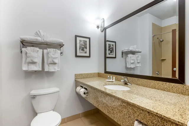 Business, Suite, Multiple Beds، Comfort Suites Conference Center Rapid City 2/2