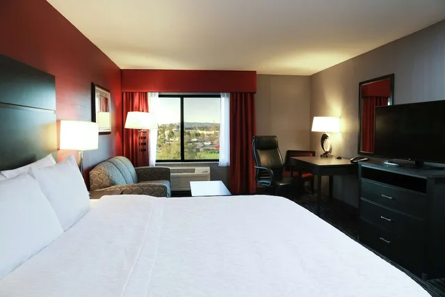 جناح استوديو بسرير كينج مع أريكة، Hampton Inn & Suites Temecula 1/9