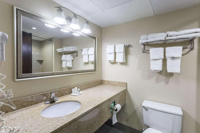 جناح بسرير كوين، Comfort Inn Decatur Priceville 4/4