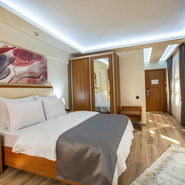 غرفة سوبيريور بسرير مزدوج، EFEHAN HOTEL 4/10