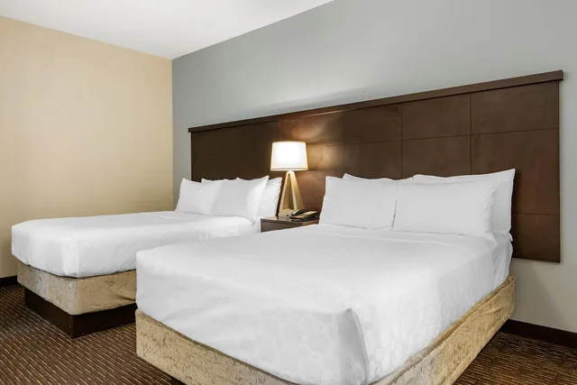 جناح بسريرين كوين بغرفة نوم واحدة بمطبخ لذوي الإعاقة، Staybridge Suites St. Petersburg FL 4/8