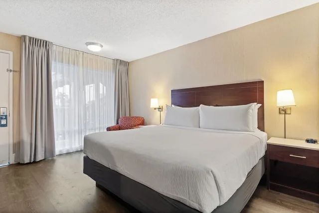 غرفة قياسية بسرير كينج، Vagabond Inn Executive San Francisco Airport 2/7