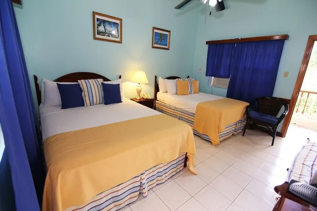 غرفة ديلوكس بسريرين مزدوجين، Rayon Hotel 1/6