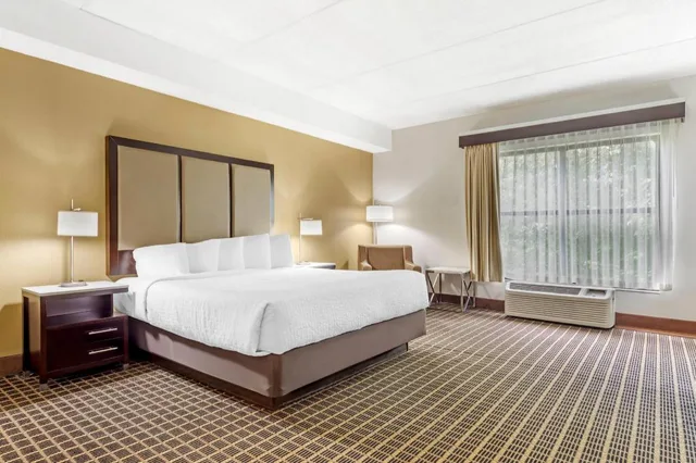 Business, Deluxe, King Bed, Wingate by Wyndham North East 1/2