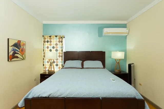 شقة حصرية بسرير كوين بإطلالة على المدينة بغرفة نوم واحدة، New Kingston Guest Apartments At Abbey 1/7
