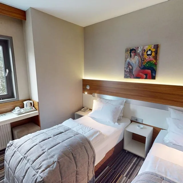 غرفة اقتصادية بسرير مزدوج أو سريرين منفصلين، Mimi Hotel Ankara 5/10