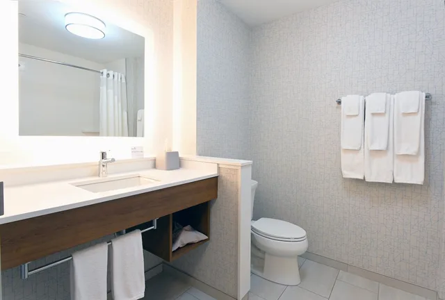 غرفة قياسية بسرير كينج لذوي الإعاقة، Holiday Inn Express Suites Aurora 4/6