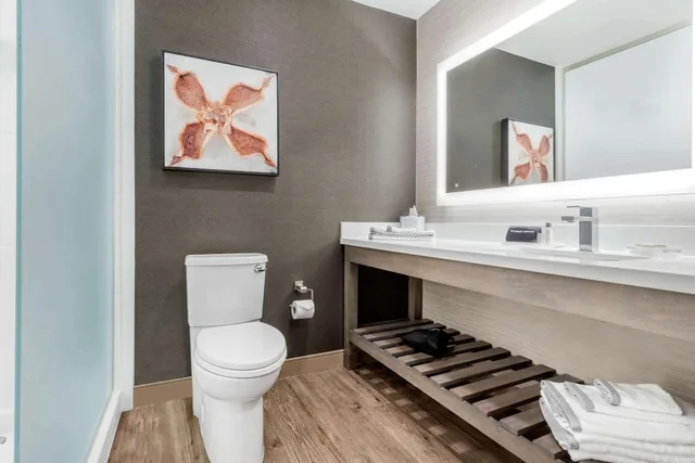 غرفة قياسية، Cambria Hotel Fort Mill 5/5