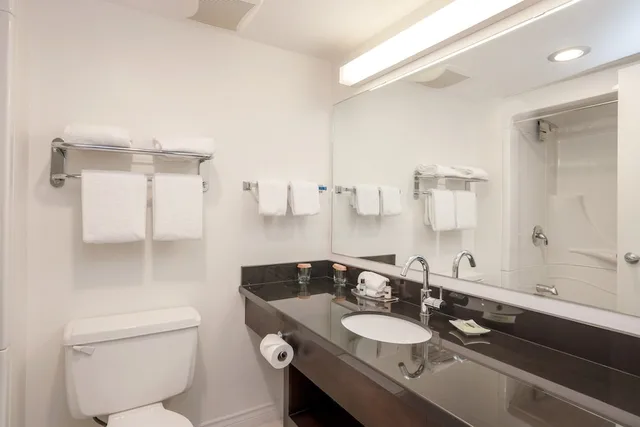 Studio, King Bed, Sofa, Kitchenette, Sandman Hotel Revelstoke 3/4