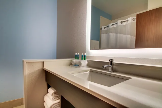 غرفة قياسية بسرير كينج لذوي الإعاقة، Holiday Inn Express & Suites - Summerville 6/7