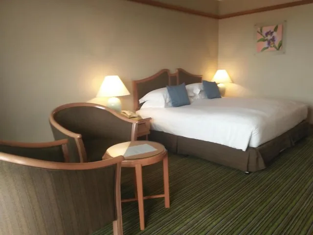 غرفة سوبيريور، Grand Palace Hotel 2/3