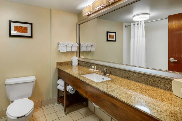 جناح بسرير كينج، Comfort Suites Manassas Battlefield Park 5/6