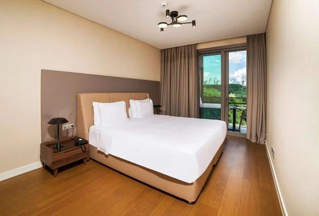 بنتهاوس، Radisson Residences Vadistanbul 3/10
