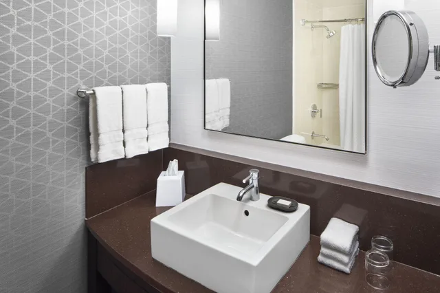 غرفة ديلوكس بسرير كينج بإطلالة على المدينة، Le Meridien Arlington 4/5
