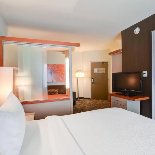 Suite, King Bed, Trundle Bed, Sofa, Accessible, Springhill Suites Shreveport-Bossier City/Louisiana Downs 1/6