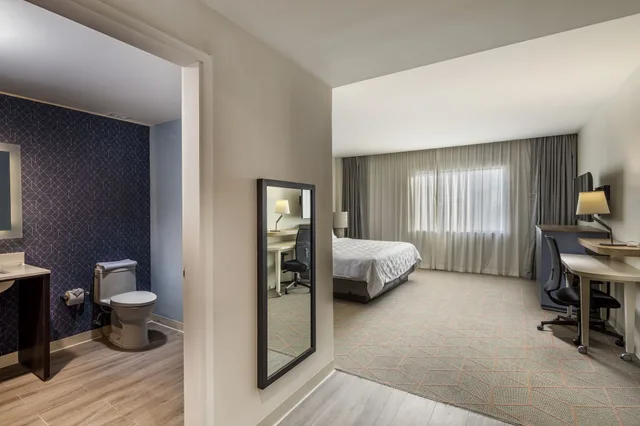 Standard, Single Bed, Holiday Inn & Suites Aguascalientes 2/3