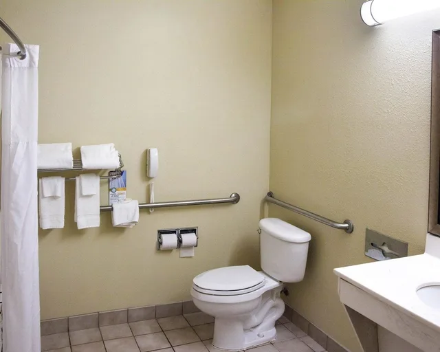 غرفة بزنس قياسية بسرير كينج، Quality Inn and Suites Niles 8/9