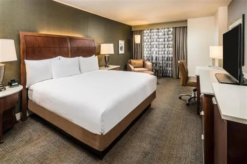 غرفة قياسية بسرير كينج، Hilton Washington DC/Rockville Hotel & Executive Meeting Center 1/1