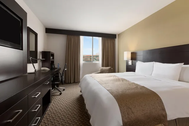 غرفة قياسية مفردة، DoubleTree by Hilton Hotel Queretaro 1/4