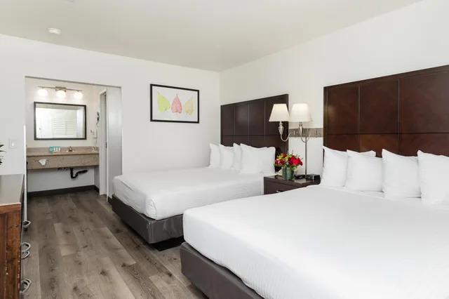 2 Bedrooms, Plus, Single, King Bed, 2 Queen Beds، Alpine Inn Near Convention Center And the Park 2/10