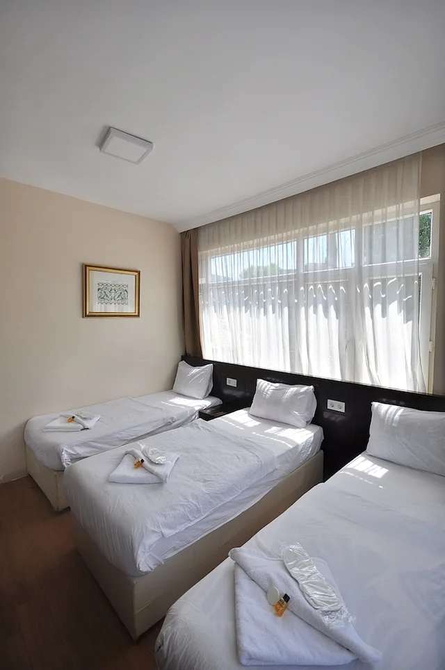 Classic, Triple, 1 Double and 1 Single Bed, Hotel Baykal 1/9