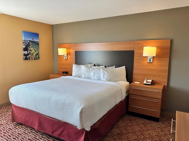 استوديو بسرير كينج، Towneplace Suites Detroit Troy 1/6