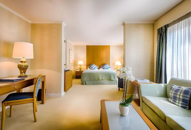 غرفة سوبيريور بإطلالة على المدينة، Royal Plaza Montreux Hotel 1/2