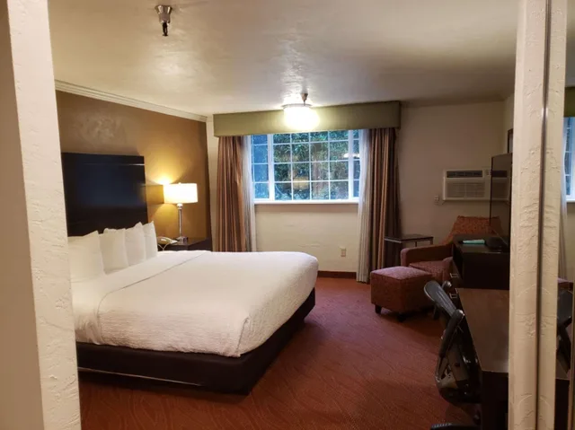 غرفة بسرير كينج لذوي الإعاقة، Best Western Plus Parkway Inn. 1/3
