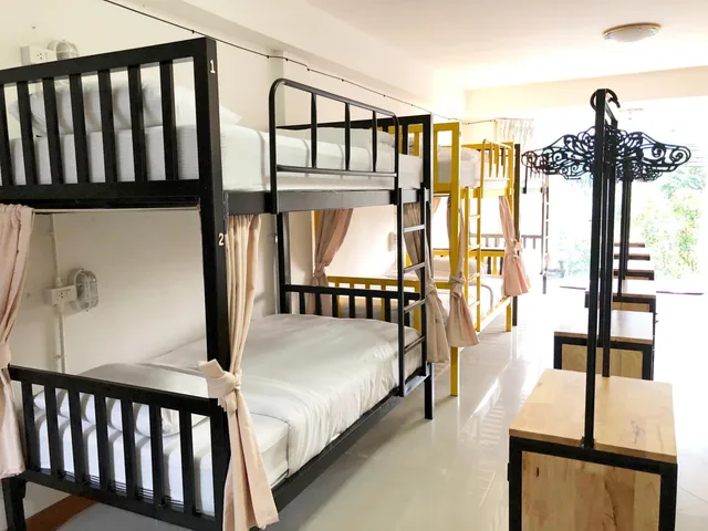 سكن مشترك مختلط، Daizy House 4/7