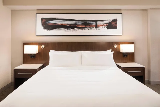 غرفة بسرير مزدوج لذوي الإعاقة، Delta Hotels Minneapolis Northeast 2/3